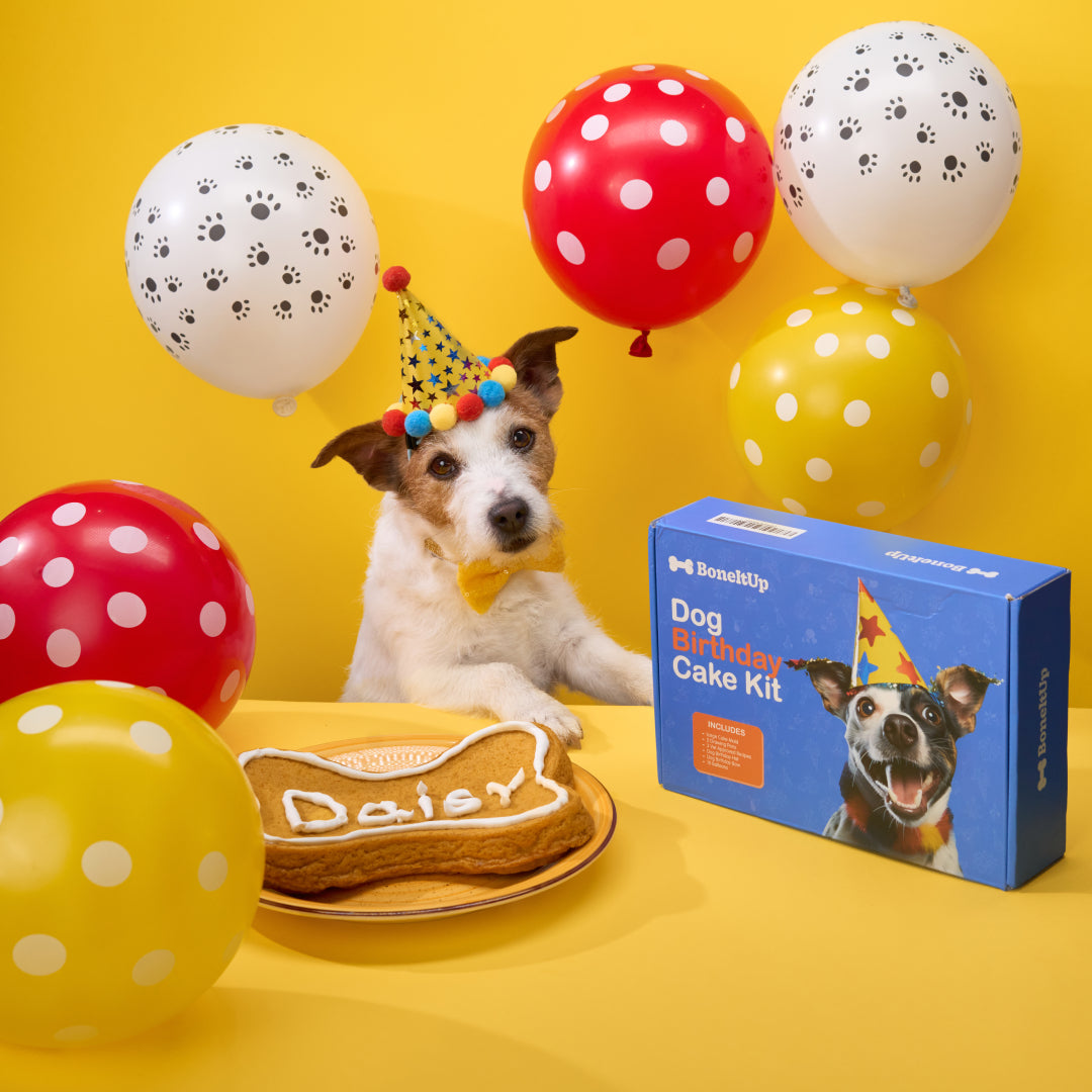 BoneItUp® Dog Birthday Cake Kit