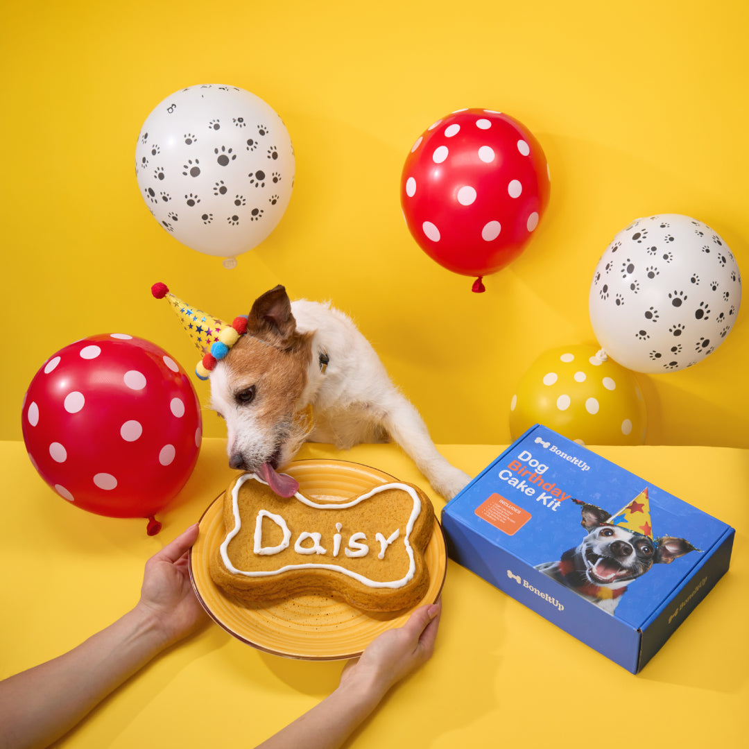 BoneItUp® Dog Birthday Cake Kit