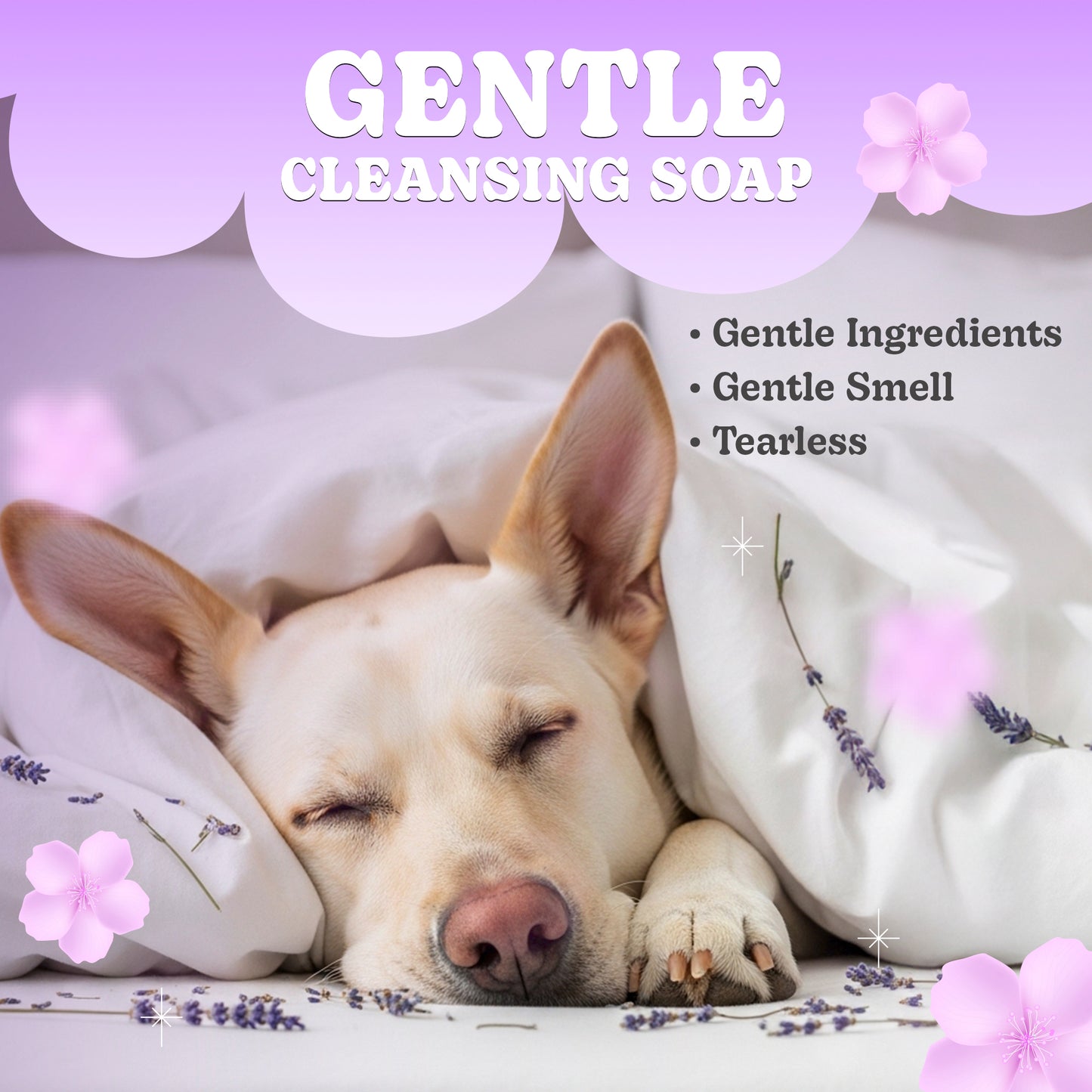 Lavender Dog Soap Bars (2 Pack) – Calming, All-Natural Pet Soap – 100g/3.5oz