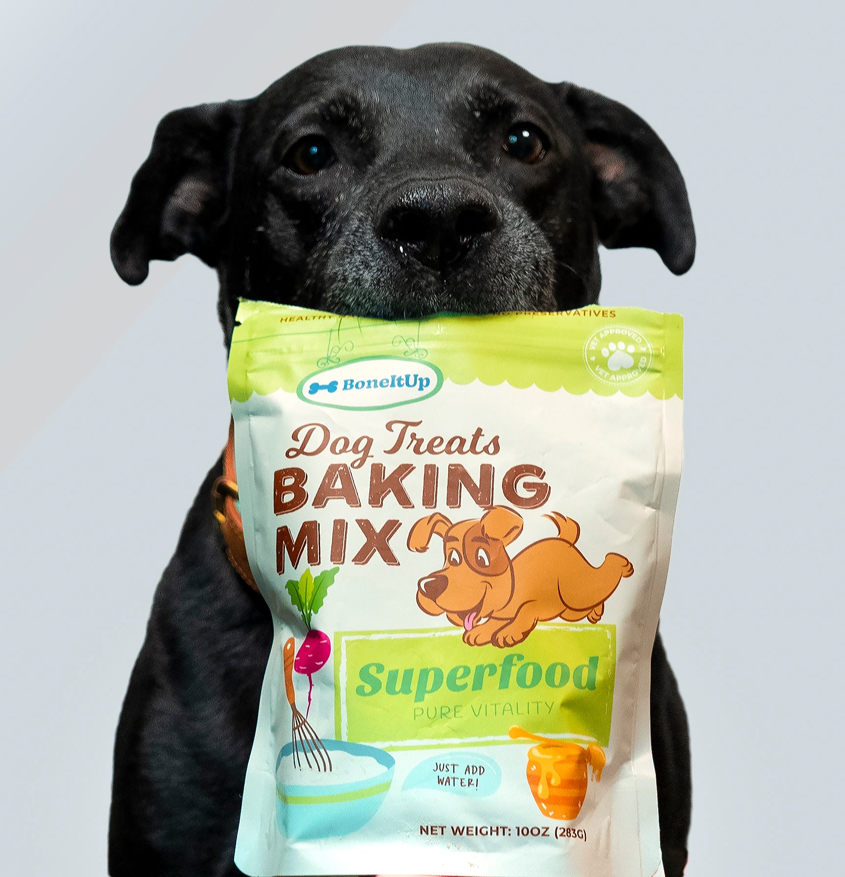 BoneItUp® Dog Treats Baking Mix