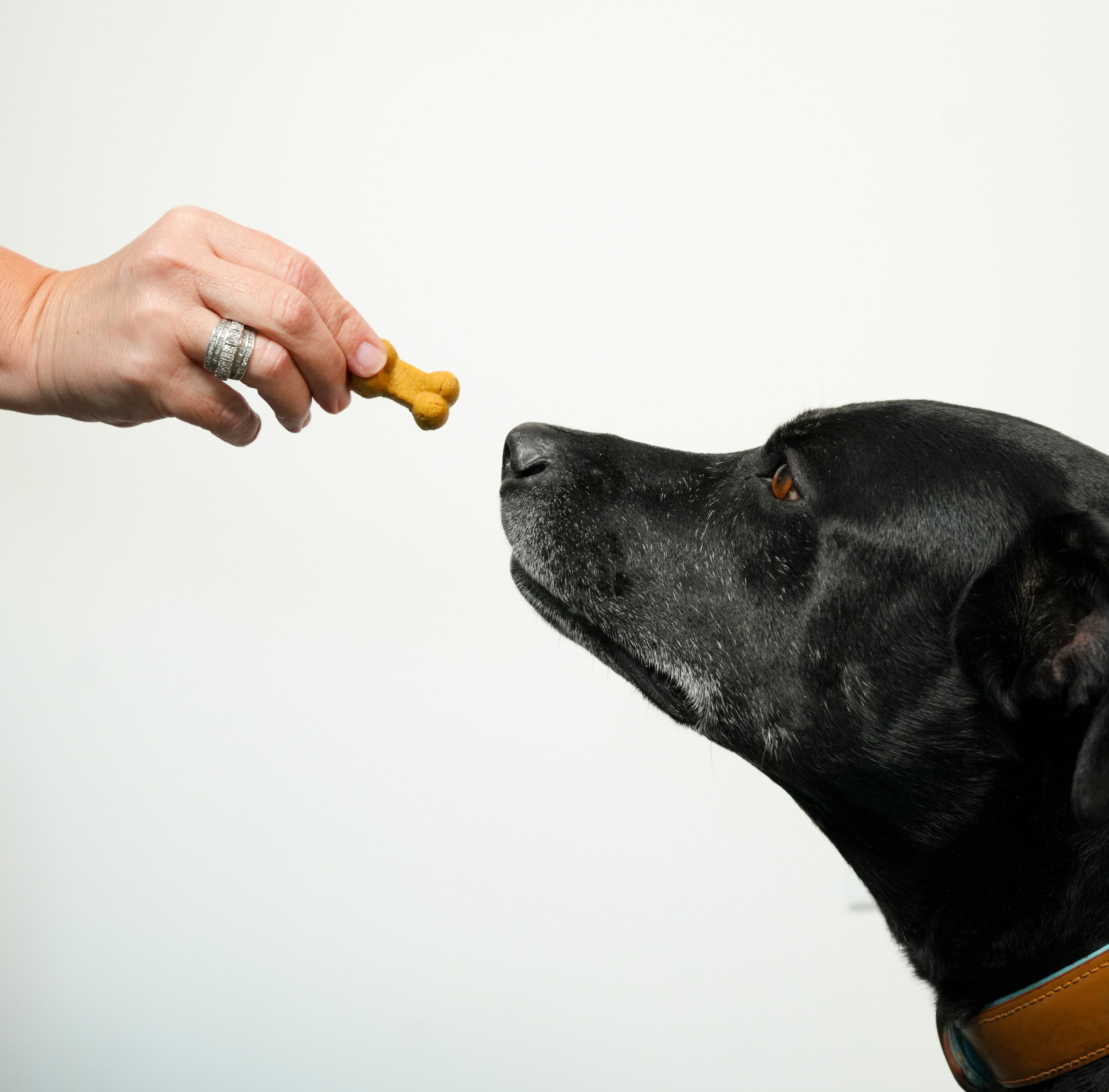 BoneItUp® Dog Treats Baking Mix