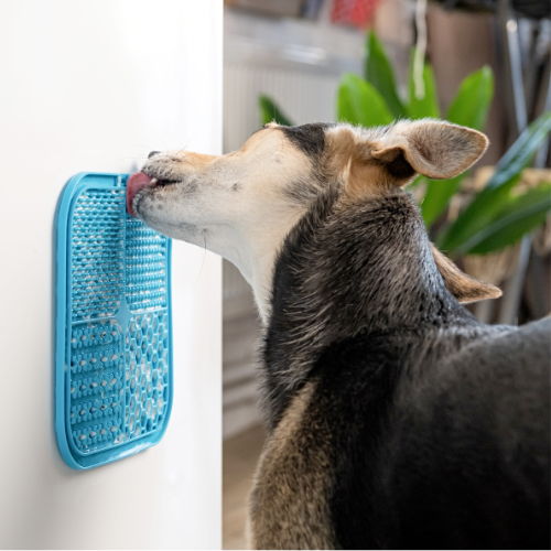 BoneItUp® 릭 매트