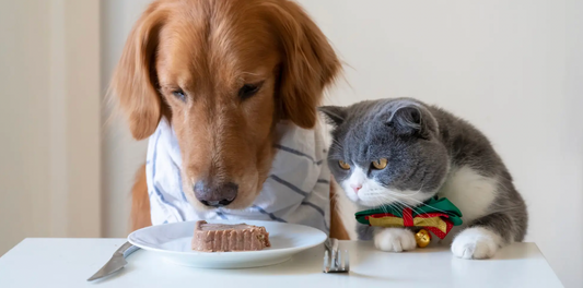 The Science of Pet Nutrition: What Your Dog and Cat Really Need