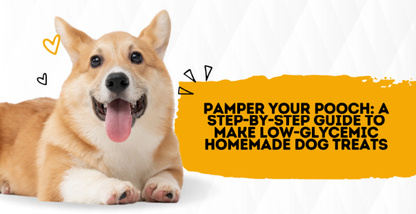 Pamper Your Pooch: A Step-by-Step Guide to Make Low-Glycemic Homemade Dog Treats