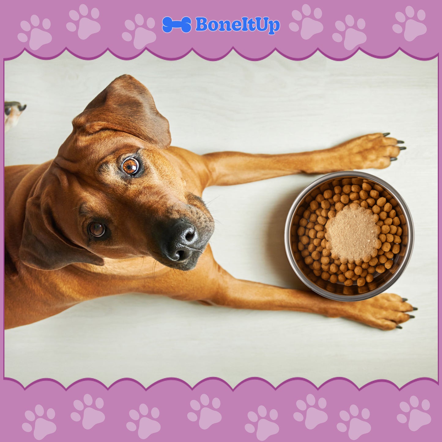 BoneItUp® Bone Broth Beef & Chicken