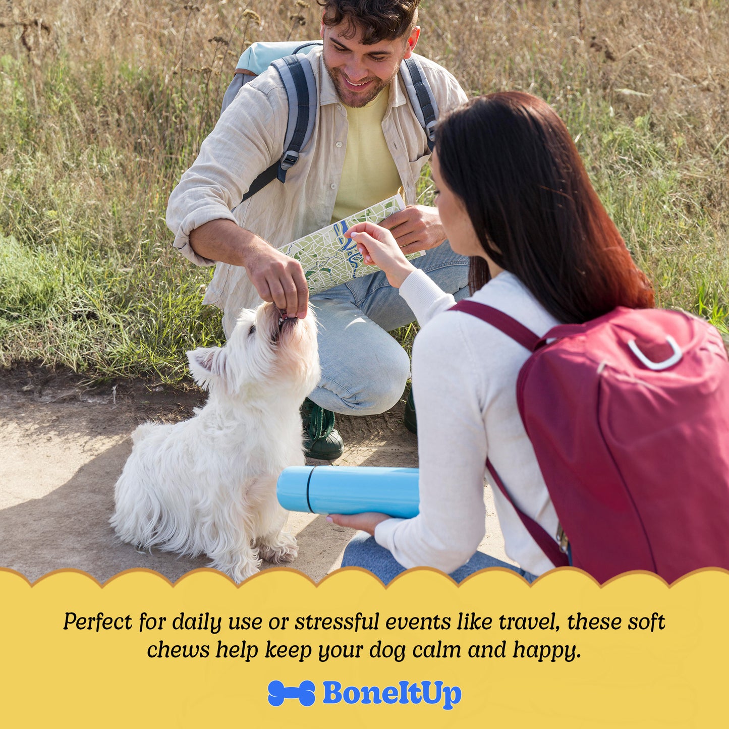 BoneItUp® Calming Relax Chews 90ct