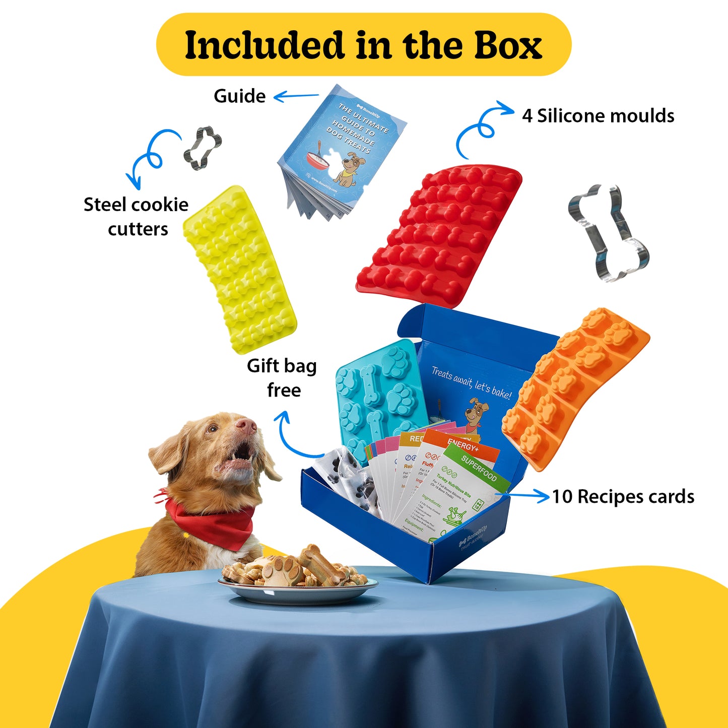 Complete Health & Treats Bundle (Dog Kit + Supplement Bundle)
