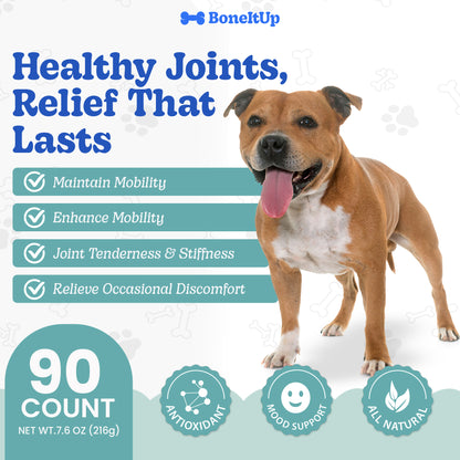BoneItUp® Joint Health Mobility Chews 90ct