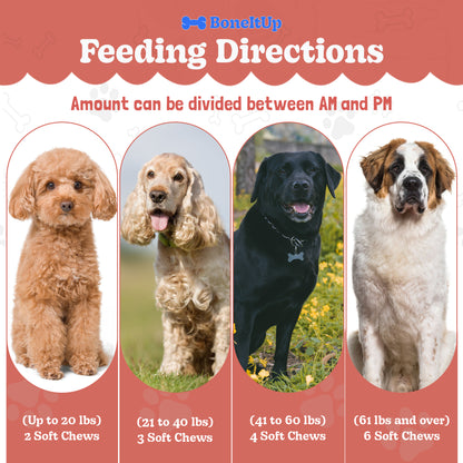 BoneItUp® Allergy Aid Chews 90ct