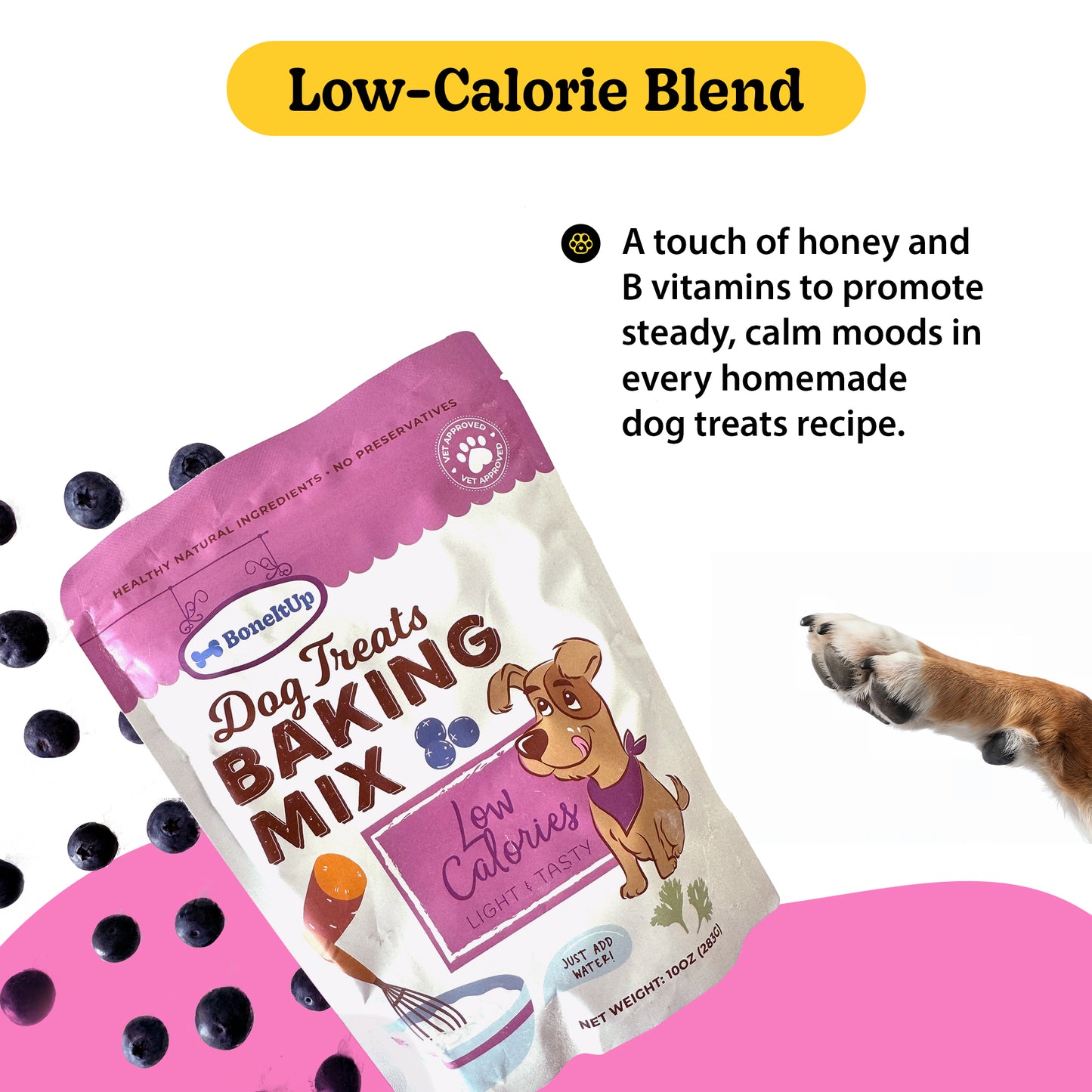 Everyday Healthy Treats Bundle (Baking Mix Multi-Pack)