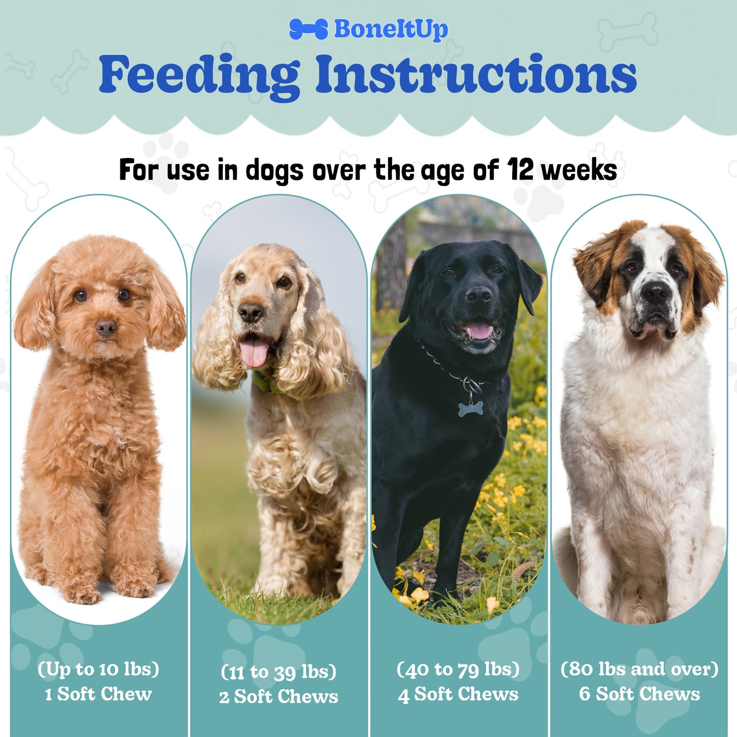 BoneItUp® Joint Health Mobility Chews 90ct