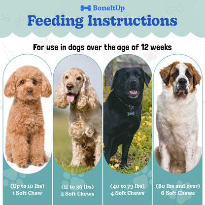 BoneItUp® Joint Health Mobility Chews 90ct