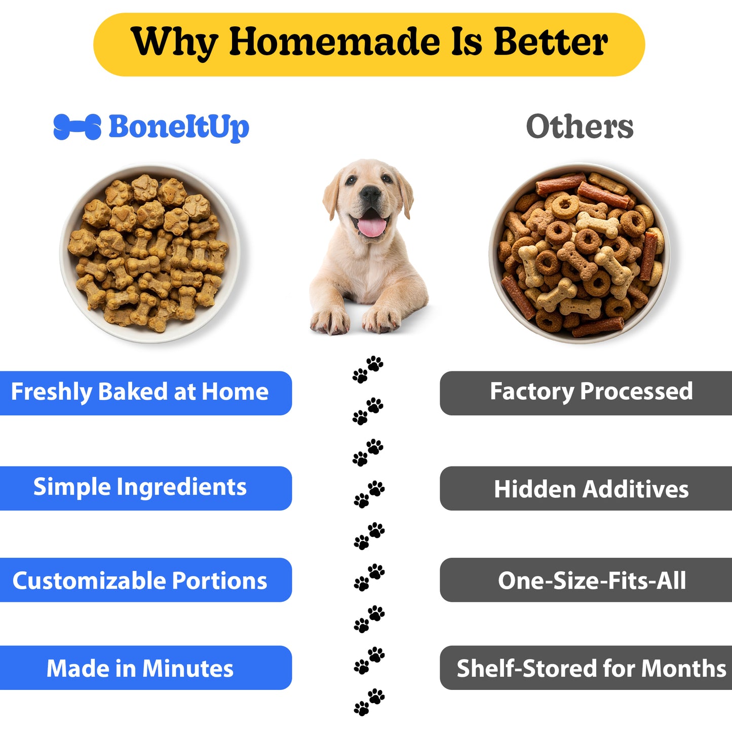 Ultimate Dog Treats Bundle (Dog Kit + Baking Mix - Multi-Pack)