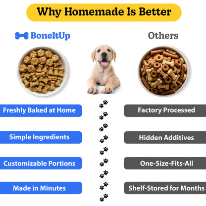 Ultimate Dog Treats Bundle (Dog Kit + Baking Mix - Multi-Pack)