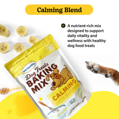 Everyday Healthy Treats Bundle (Baking Mix Multi-Pack)