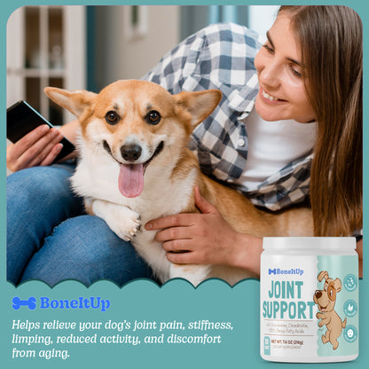 BoneItUp® Joint Health Mobility Chews 90ct