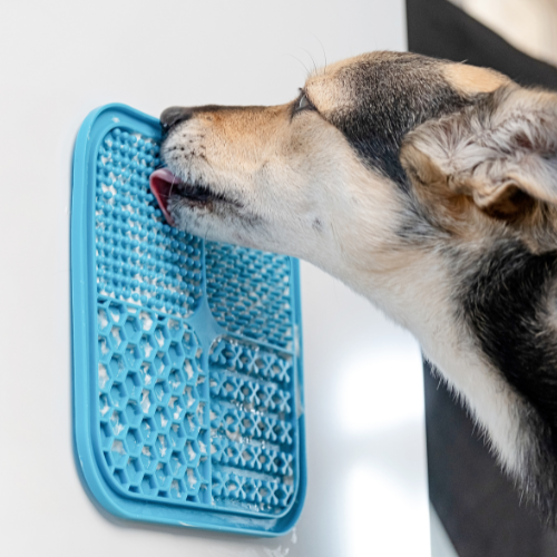 BoneItUp Lick Mat for Dogs & Cats – BPA-Free Dog Food Mat Slow Feeder, Crate Training, Dental Health & Digestion – Slow Feeder Mat for Dogs - Dishwasher Safe Crate Lick Mat (Blue)
