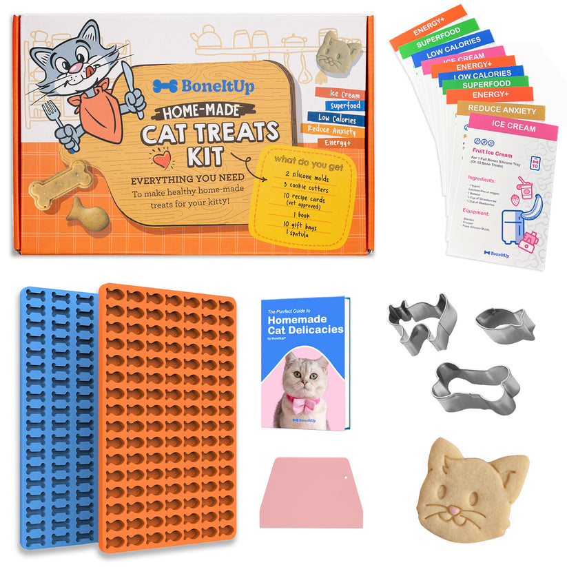 BoneItUp® Cat Edition Homemade Treats Kit – Boneitup